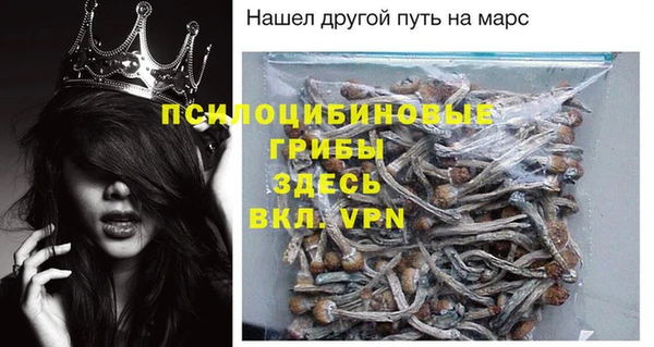 кокс Белокуриха